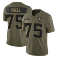 M.Vikings #75 Brian O'Neill Player Olive 2025 Salute To Service Limited Game PETTCS Stitched Jerseys