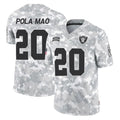 LV.Raiders #20 Isaiah Pola-Mao Player Arctic Camo Salute To Service Limited Game PETTCS Stitched Jerseys